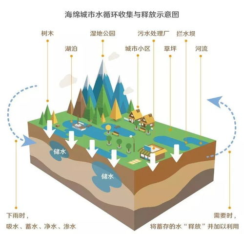 海绵城市设计包括哪些?深圳海绵城市设计企业有哪些？