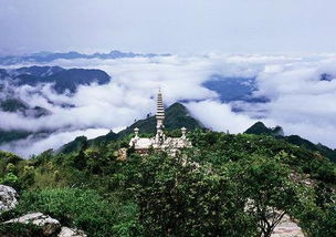 北京莽山公园门票优惠政策 (莽山景区有免费的停车场吗)