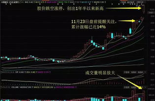 捷隆控股股价午盘涨逾10%，创下历史新高