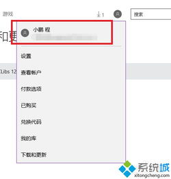 win10怎么用应用商店不了软件吗