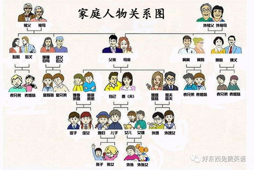 最全 家庭成员关系的英语表达,用这张图展现得清清楚楚...... 