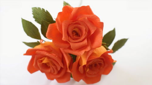 怎么做玫瑰花,手工花朵制作方法玫瑰？