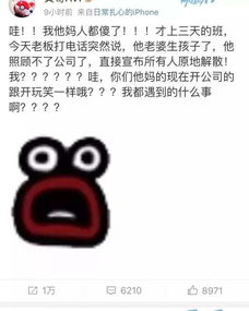 意思丨遇到不靠谱的老板是种什么样的体验 