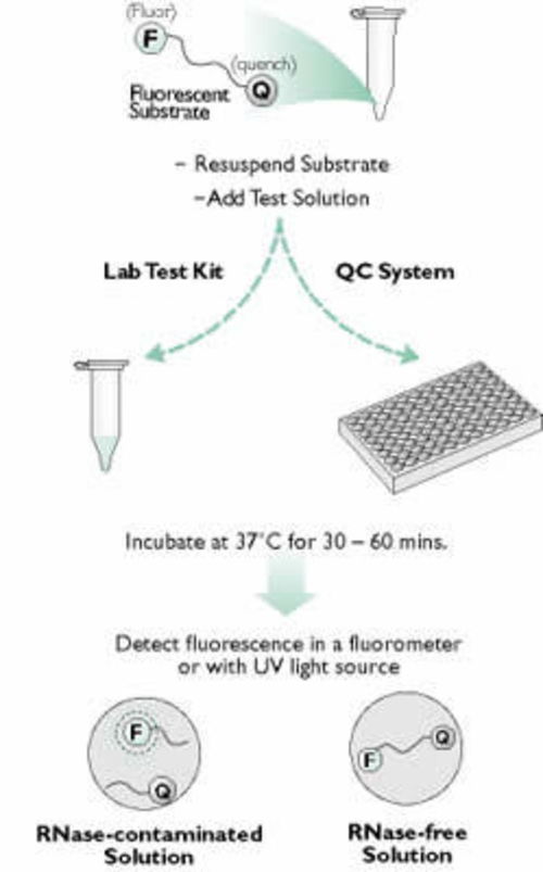 RNaseAlertTM QC System 