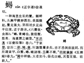 一个虫字一个寻字是啥字 