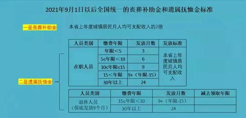 快来看 新标准实施后,企业职工基本养老保险遗属待遇怎么算