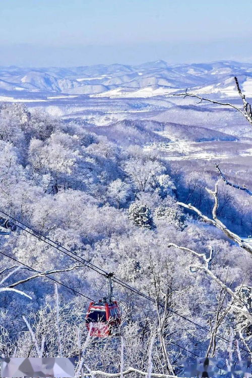 冬雪俐所有图片 搜狗图片搜索