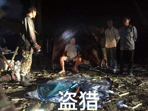 湖北夫妻半夜去偷鱼,被同样半夜去偷猎的人当成野猪给打死了