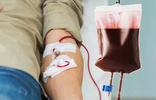 献血的好处和坏处 献血真的对身体好吗 今日献血