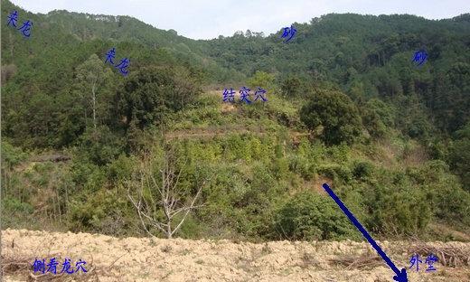 三十条冷知识,大富大贵的阴宅风水,风水大师说祖坟葬在龙窝里