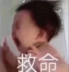 不谈恋爱拍不了剧是吗