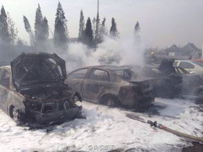 天津一公墓边6辆汽车被野火烧成废铁 