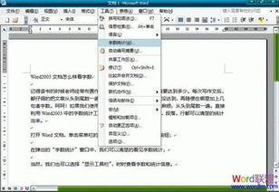 word文档2003怎么查看字数