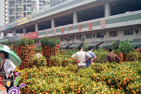 肇庆端州 中药批发市场在哪里？