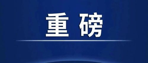 查重率标识圆圈在科研项目管理中的应用