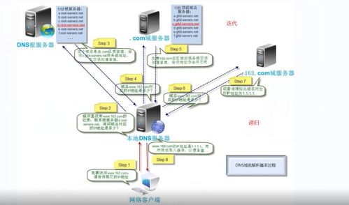 国外十大免费服务器和域名(免费网络服务器域名查询)