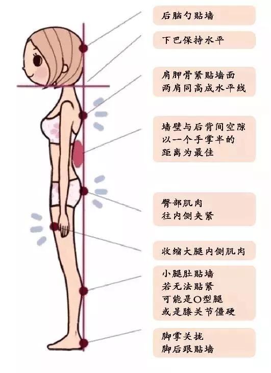 沈月走红毯没郑爽好看 6步教你怎么走