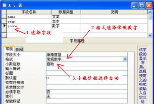 关于access查询出的数据只显示整数位不显示小数位如何处理