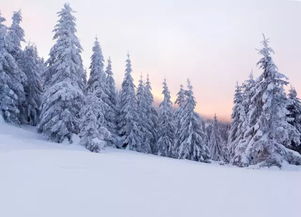 如何用手机拍出让人羡慕的雪景大片