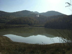 郑州风水大师 大龙风水宝地藏在深山之中,王君植在河南看风水案例