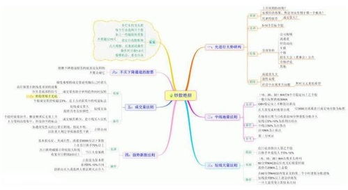 股票市场最看好的板块是哪个