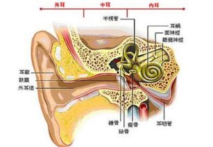 韩百通古法研制 专治愈耳鸣疾病 效果卓有成效