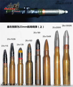 谁知道30MM机炮炮弹重 弹头重多少 包括弹壳呢 (蛋壳提醒电脑版)