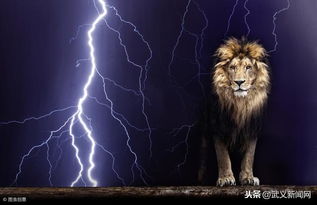 12星座神话传说 狮子座
