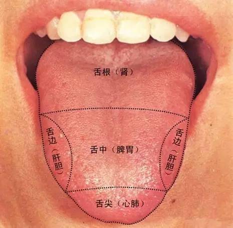 放松 是人体最好的大药