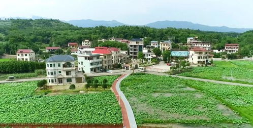 湖南永州东安马坪农业开发区天气预报