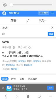 torch什么意思
