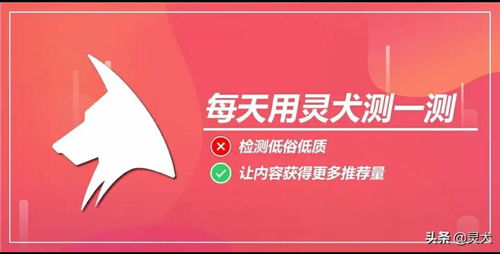 1斤鸡蛋换朋友圈群发广告,你换吗 抵制低俗内容从我做起