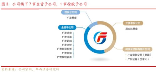 如何查看自己是哪个证券公司