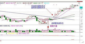 股市高手怎么收集股市信息