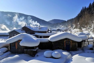 哈尔滨 中国雪乡畅玩半自助三日当地游