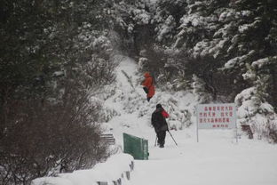 关于塞北寒天雪景的古诗句