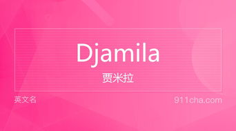 英文名Djamila 的意思 性别含义寓意及印象是什么 英文名 911查询 