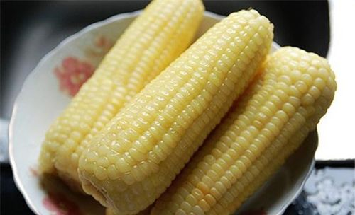 玉米煮多久图片