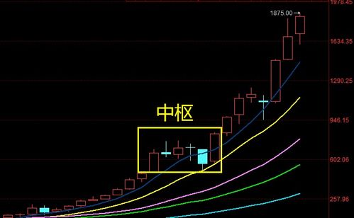 请问股票：龙头股份属于哪个板块