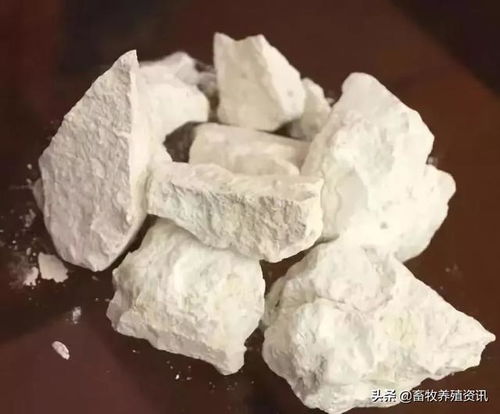 猪场生石灰几点使用误区,你踩过 雷 吗