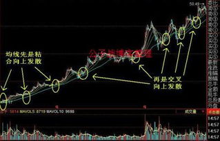 均线粘合和均线金叉有什么区别