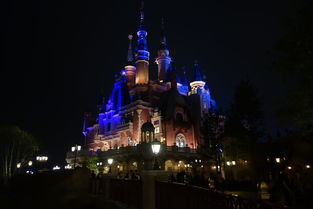 迪士尼夜晚的城堡图片