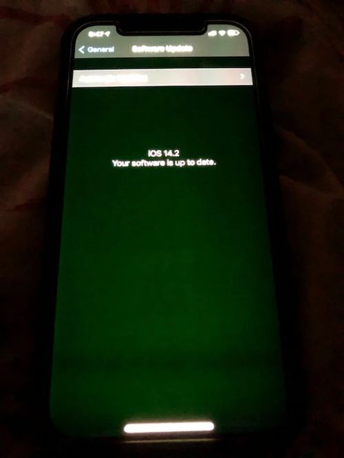 iPhone12屏幕故障频发闪烁发光绿屏等 苹果内部指示应避免硬件维修