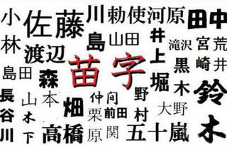 两姓四字名字（两个姓氏组合的四字名字）