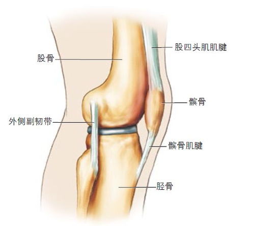 关节疾病的治疗方法有哪些，如何缓解身上关节咔咔响的症状？