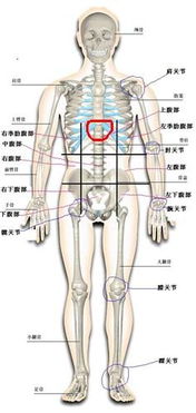 为什么最近睡觉胸口会痛