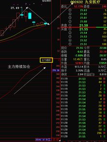 主力加仓是什么意思啊