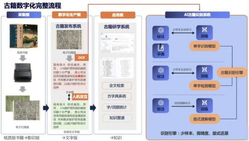 shareholding 和 stock right 区别是啥？