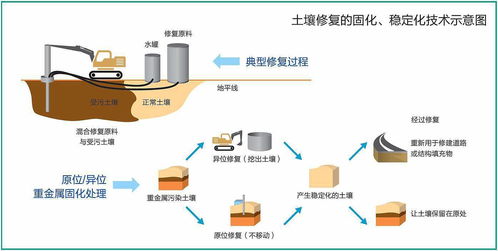 环保类企业（固废和土壤修复方向）有哪些发展较好的