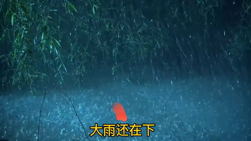 歌曲名 大雨还在下 